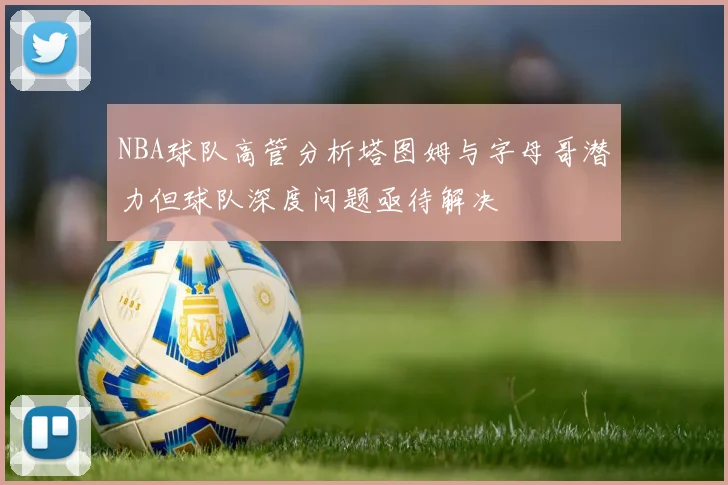 NBA球队高管分析塔图姆与字母哥潜力但球队深度问题亟待解决